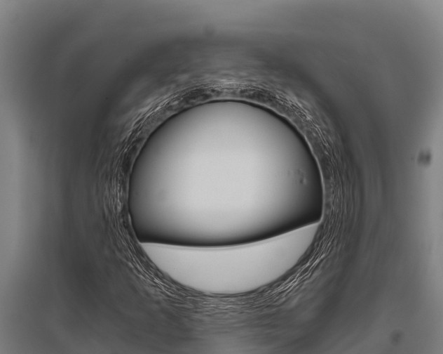 X0000096141253200801180844