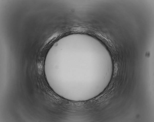 X0000096141254200801180844