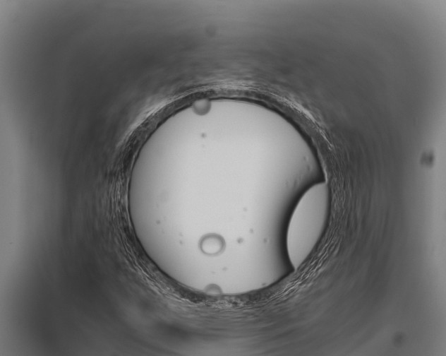 X0000096141255200801180844