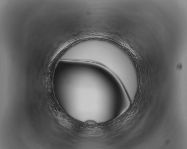 X0000096141256200801180844