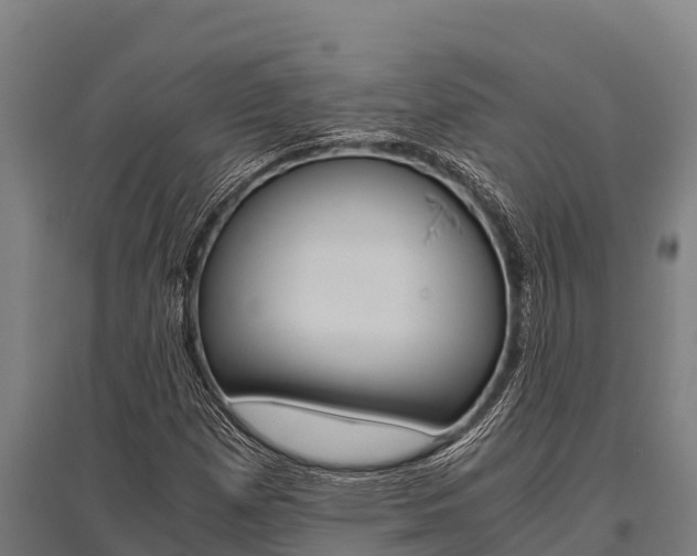 X0000096141257200801180844
