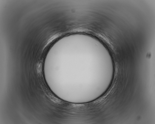 X0000096141258200801180844