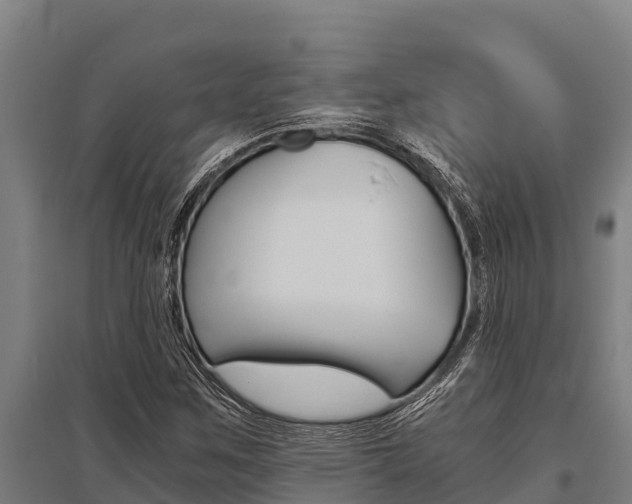 X0000096141259200801180844