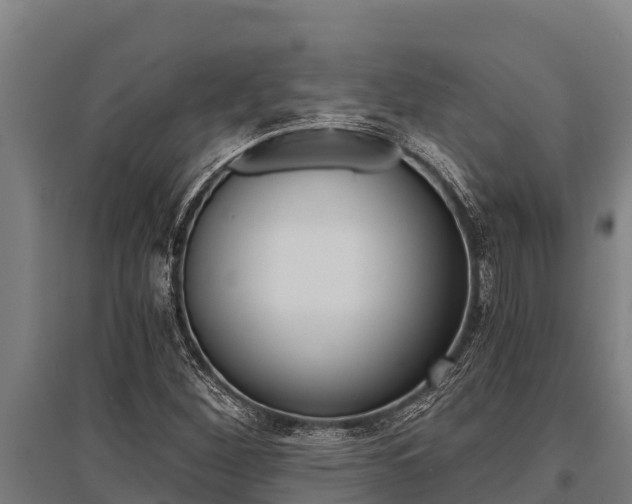 X0000096141260200801180844