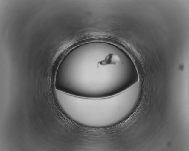 X0000096141261200801180844