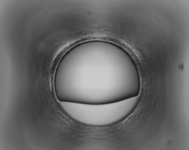 X0000096141262200801180844
