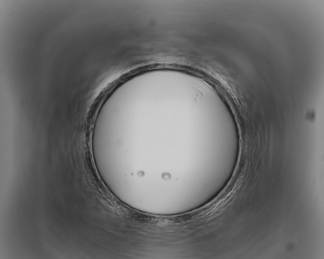 X0000096141263200801180844