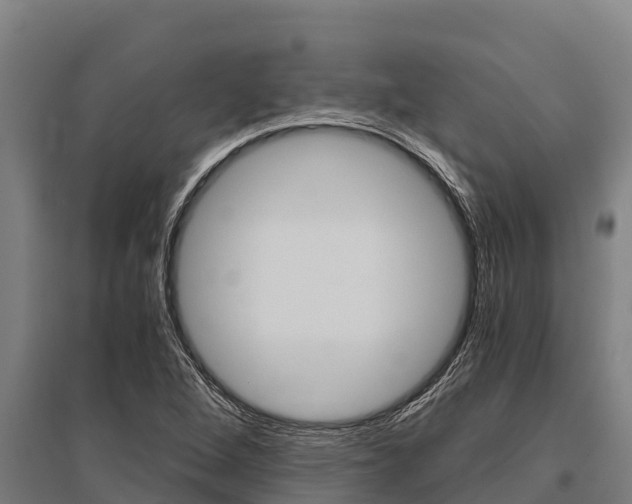 X0000096141264200801180844