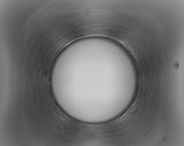 X0000096141265200801180844