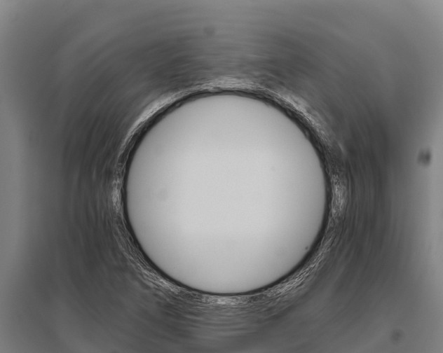 X0000096141266200801180844