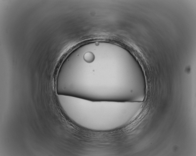 X0000096141267200801180844