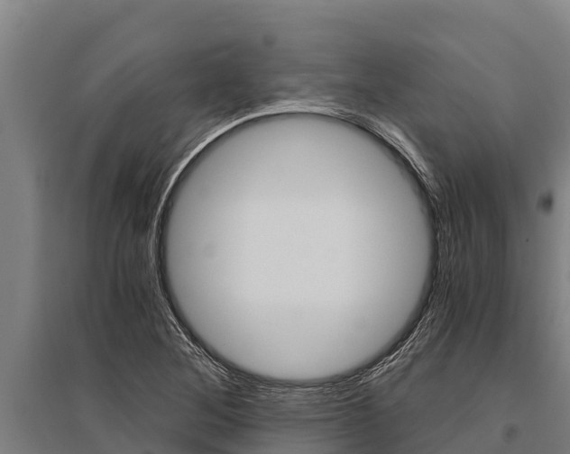 X0000096141268200801180844
