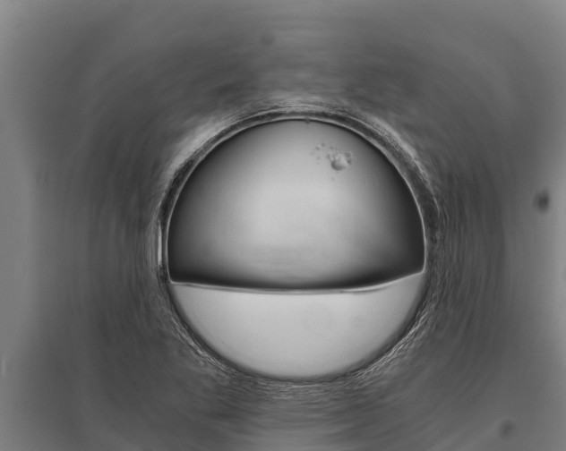 X0000096141269200801180844