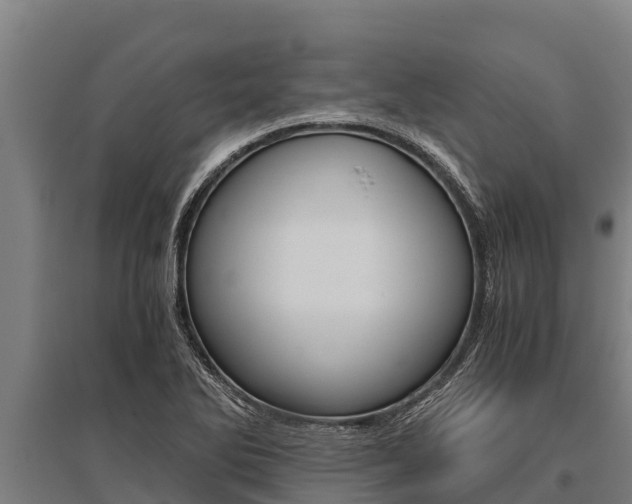 X0000096141270200801180844