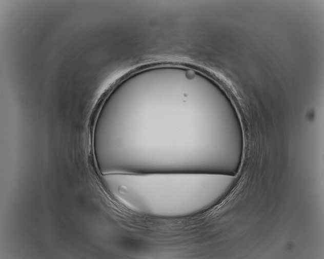 X0000096141271200801180844