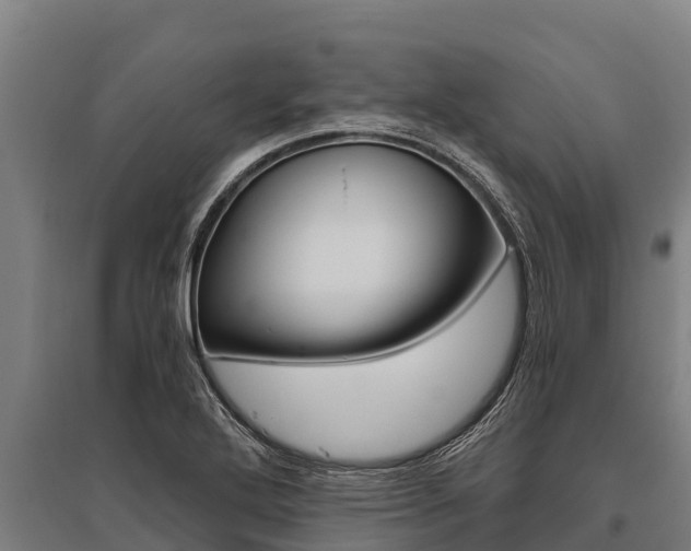 X0000096141272200801180844