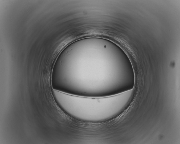 X0000096141273200801180843