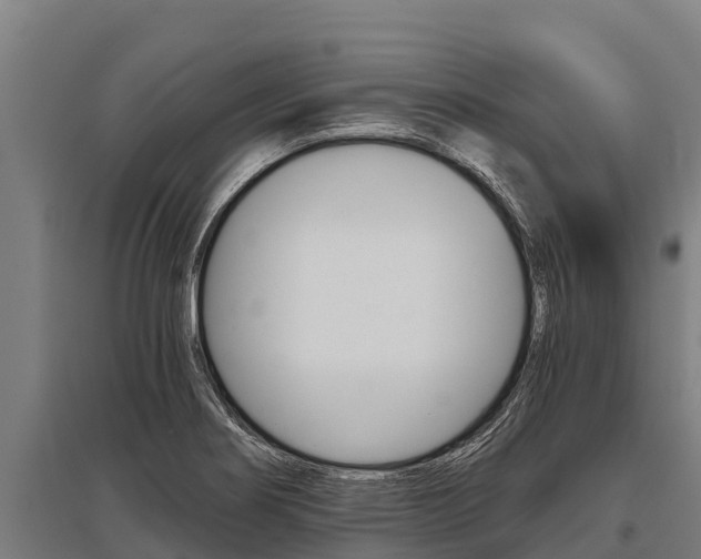 X0000096141274200801180843