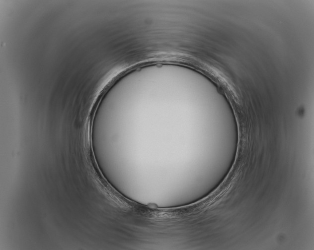 X0000096141275200801180843