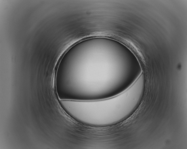 X0000096141276200801180843