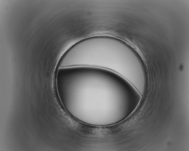 X0000096141277200801180843