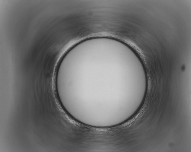 X0000096141278200801180843