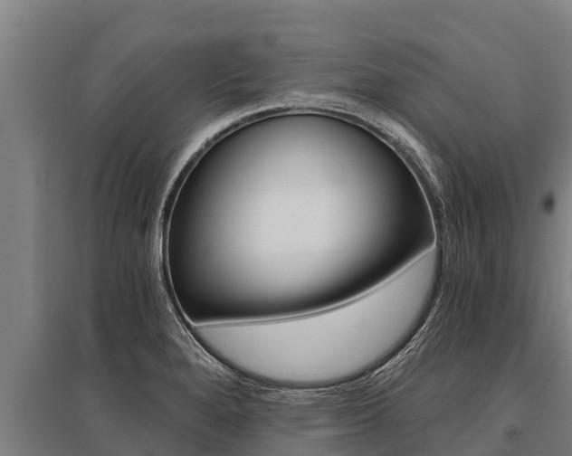 X0000096141280200801180843