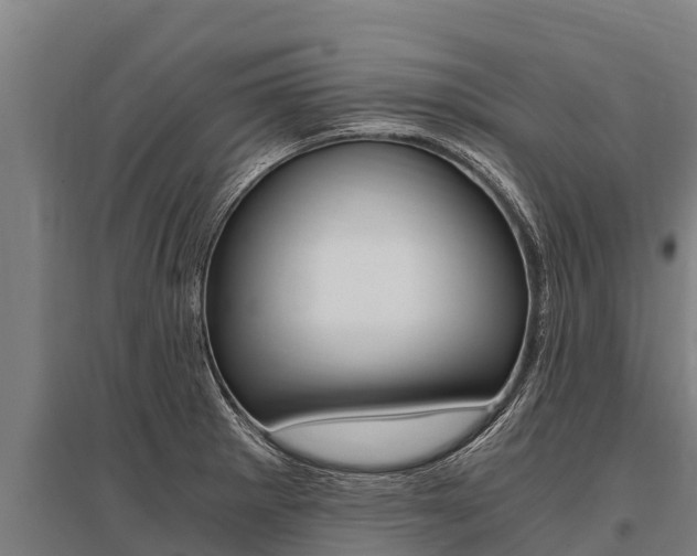 X0000096141281200801180843