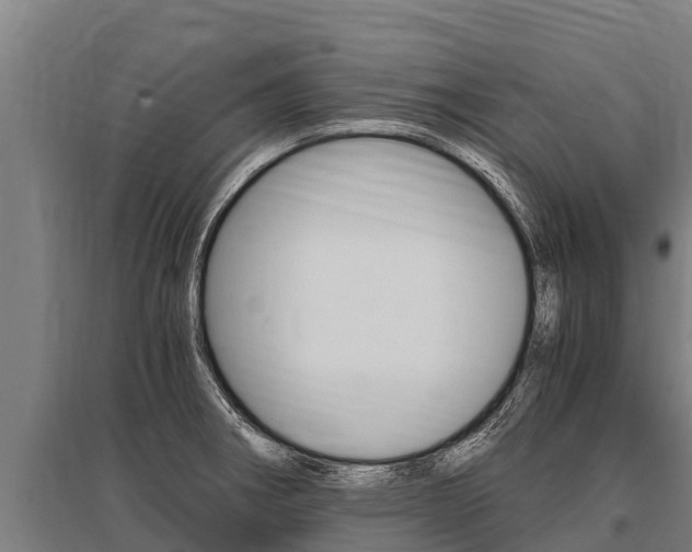 X0000096141282200801180843