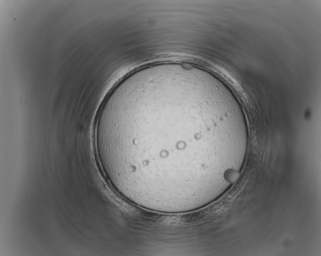 X0000096141283200801180843