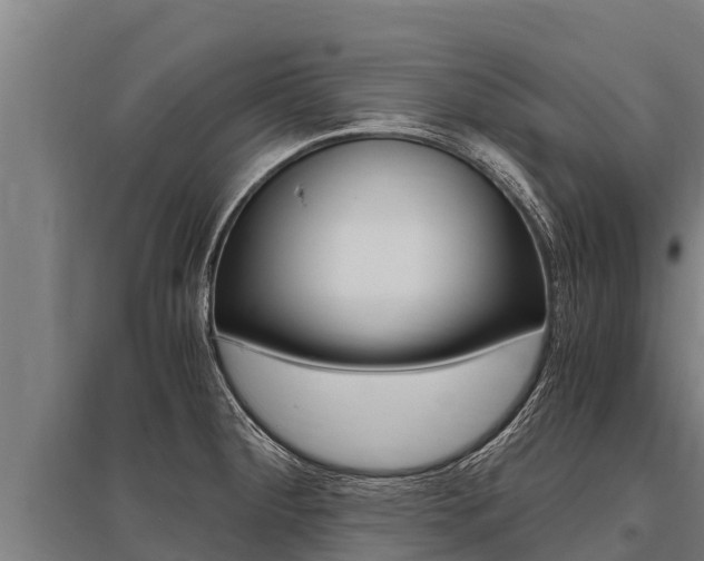 X0000096141284200801180843