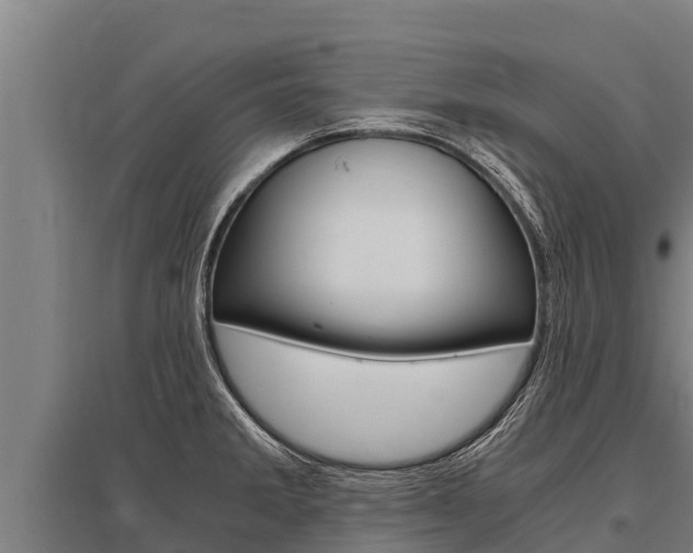 X0000096141285200801180843