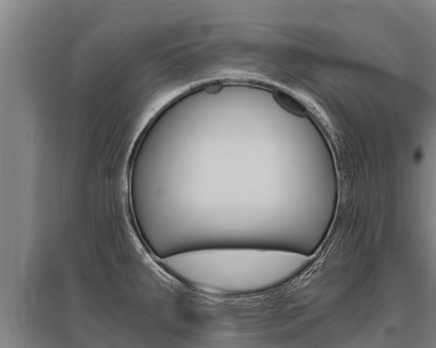 X0000096141287200801180843