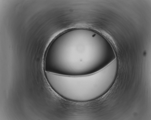 X0000096141288200801180843