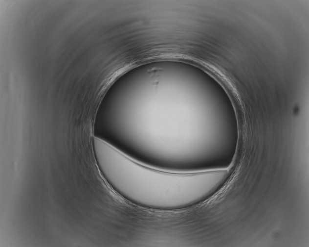 X0000096141289200801180843