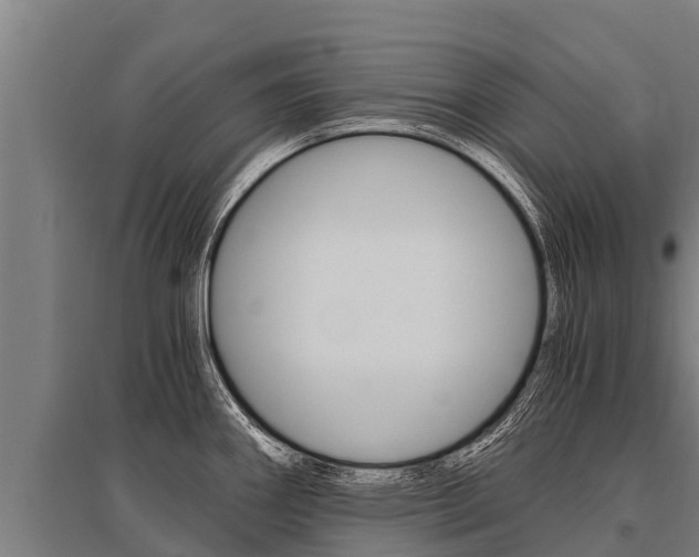 X0000096141290200801180843