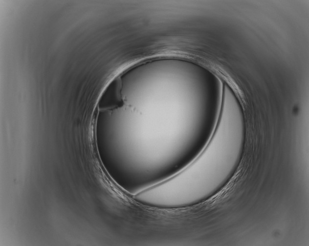X0000096141292200801180843