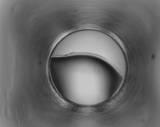 X0000096141293200801180843