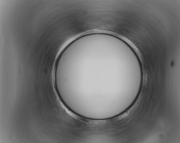X0000096141294200801180843