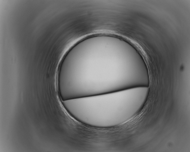 X0000096141295200801180843