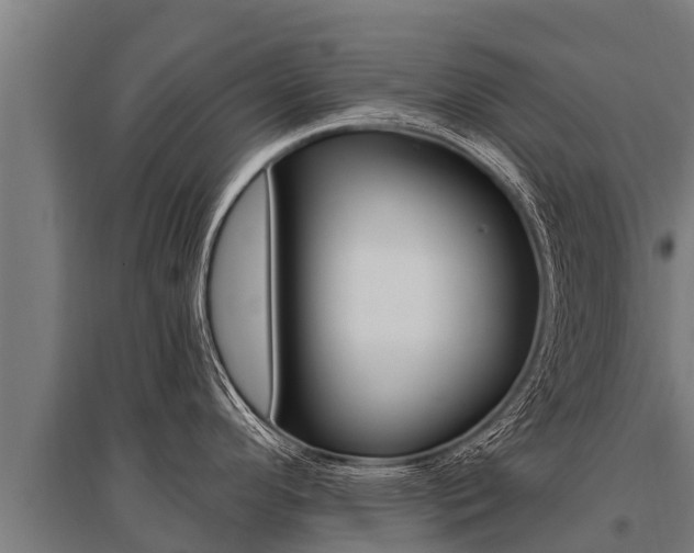 X0000096141296200801180843