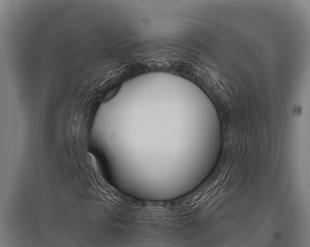X0000096141297200801180843