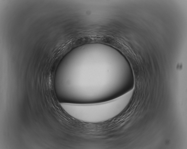 X0000096141298200801180843