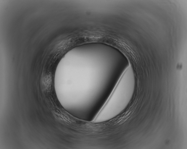 X0000096141299200801180843