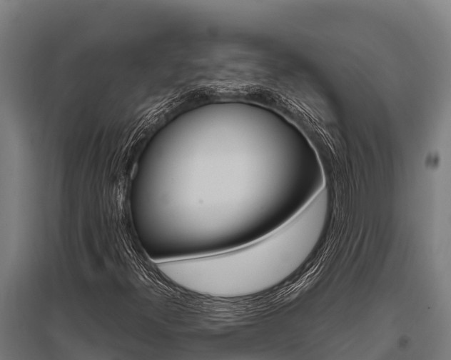 X0000096141300200801180843