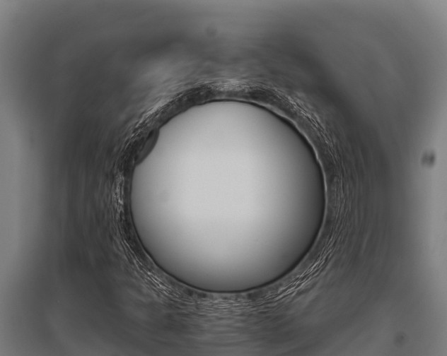 X0000096141301200801180843