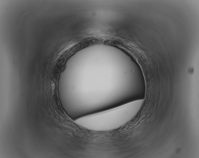 X0000096141302200801180843
