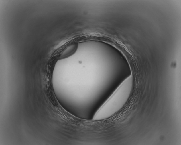X0000096141303200801180843