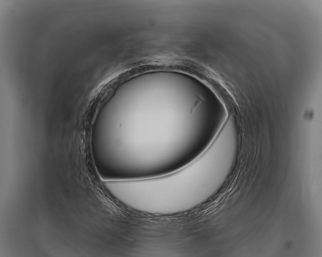 X0000096141304200801180843