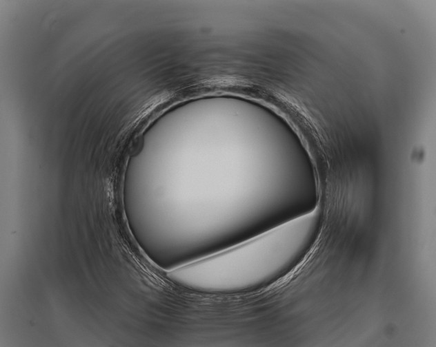 X0000096141305200801180843